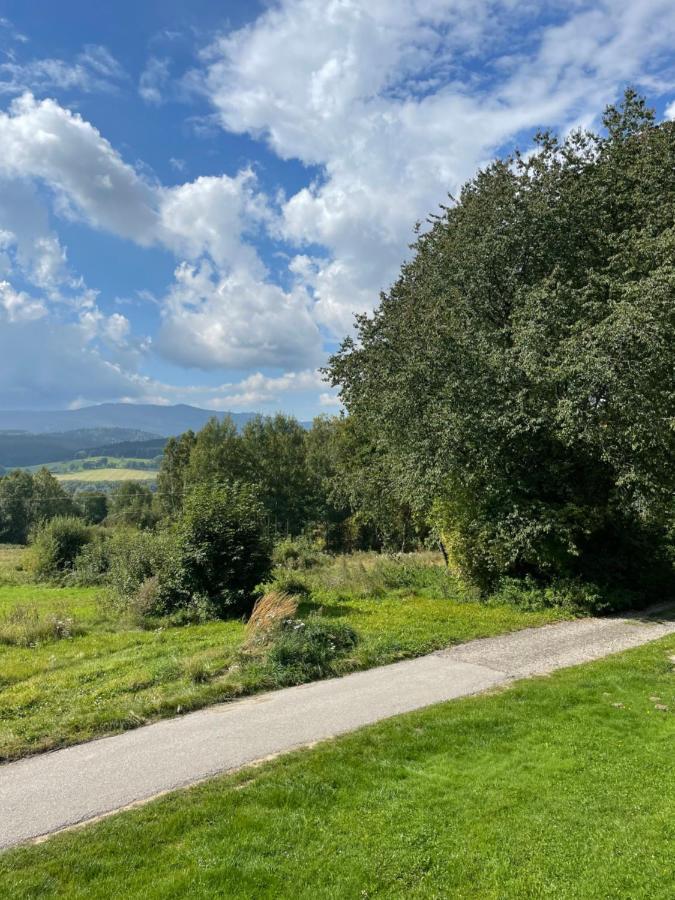 Chata Adam U Lipna Horní Planá Exteriér fotografie