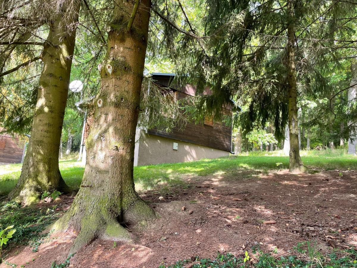 Chata Adam U Lipna Horní Planá Exteriér fotografie