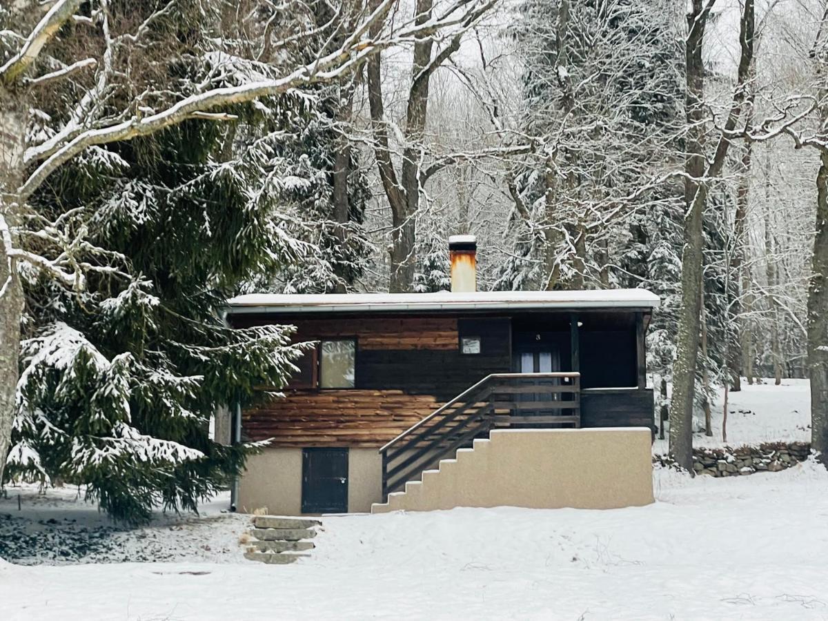 Chata Adam U Lipna Horní Planá Exteriér fotografie