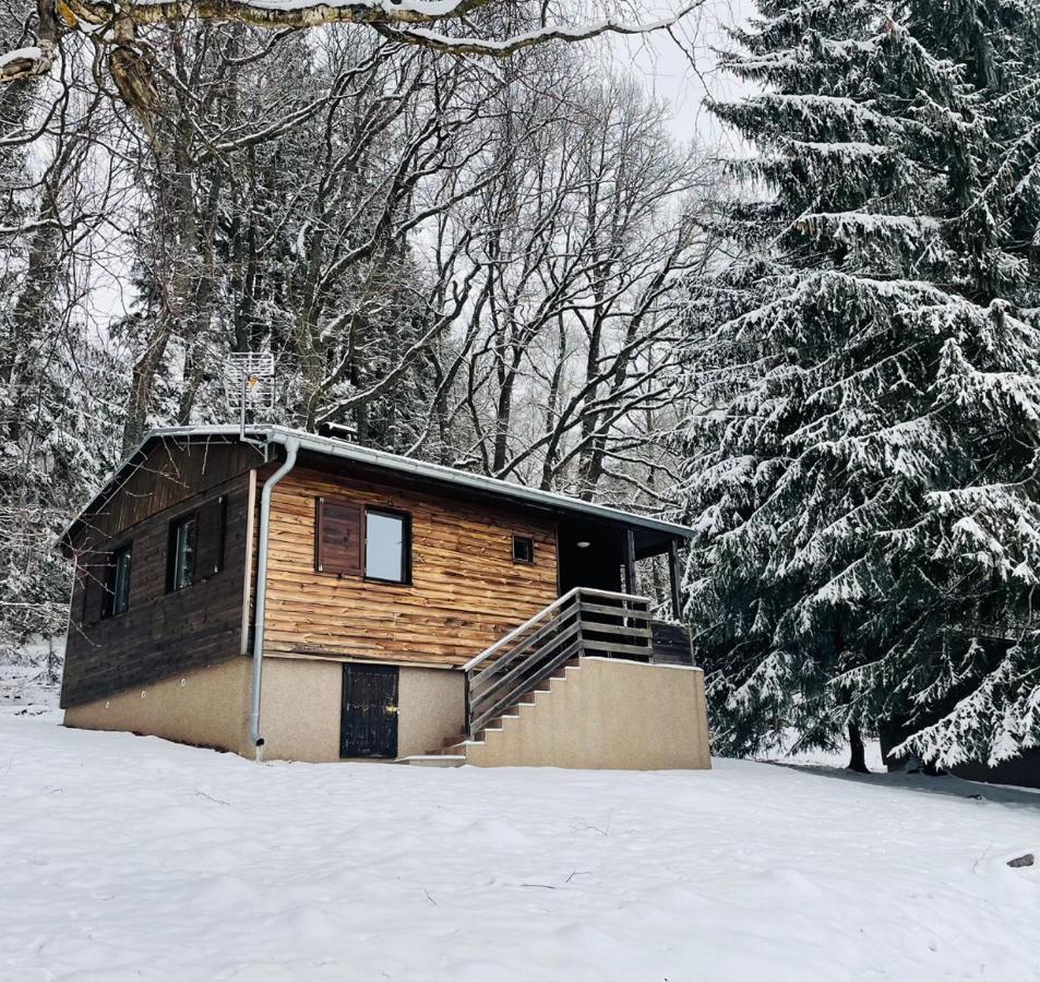 Chata Adam U Lipna Horní Planá Exteriér fotografie